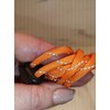 4mm Reflective Paracord Rope, 7 Strand, for Camping, Hiking, Bushcraft,