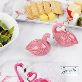 Ceramic Bird Salt and Pepper Shaker Collectors Kitchen Décor - Flamingo