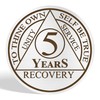 5 Year AA Sobriety Coin - Inspirational Mountain Design AA