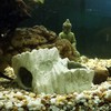 ALEGI Aquarium Decoration Rock Caves, Betta Fish Tank Accessories Hideout,