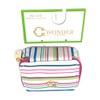 Colorful Pin Striped Pill Case Plus Pill Organizer (8 compartments)