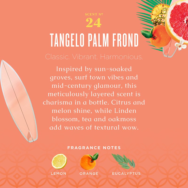 Caldrea Multi-surface CounterTop Spray Cleaner, Made With Vegetable Protein Extract,