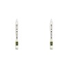 Asahipen CKW-15 Paint Brush, PC Work (White Hair), 0.6 inches