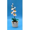 CREAL SàRL Mini Elegant Orchid in Flower Pot Dollhouse Decoration