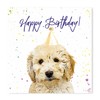 Cockapoo Birthday Card - Party Hat