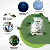 fairvital PEA 400 mg, 90 Capsules, Palmitoylethanolamide, For 3 Months,