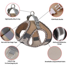 AIITLE Dog Harness No Choke Over, Step in Adjustable Dog Harness with a Leash, Breathable Mesh and Quick-Release Buckle - Outdoor Walking, Training for Medium Dogs Brown-Beige L