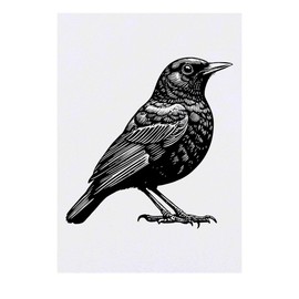 'Eurasian Blackbird' Temporary Tattoo - Water Resistant, Skin-Safe, Non-Toxic Transfer (TO00074635)