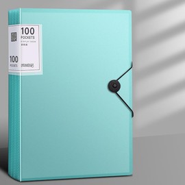 JDSI A4 100 Pockets 200/Sides Display Book Paper Document Holder, Expanding File Folder A4 Letter Size Organizer (100 Pockets Light Green)