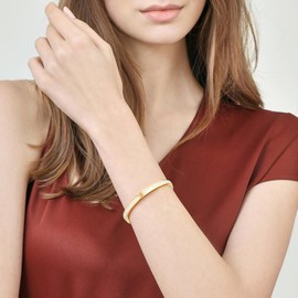 Tidefire Stainless Steel Crystal Zirconia Bracelets 18K Gold Plated Women's Bracelet Titanium Steel Bangle, Stainless Steel