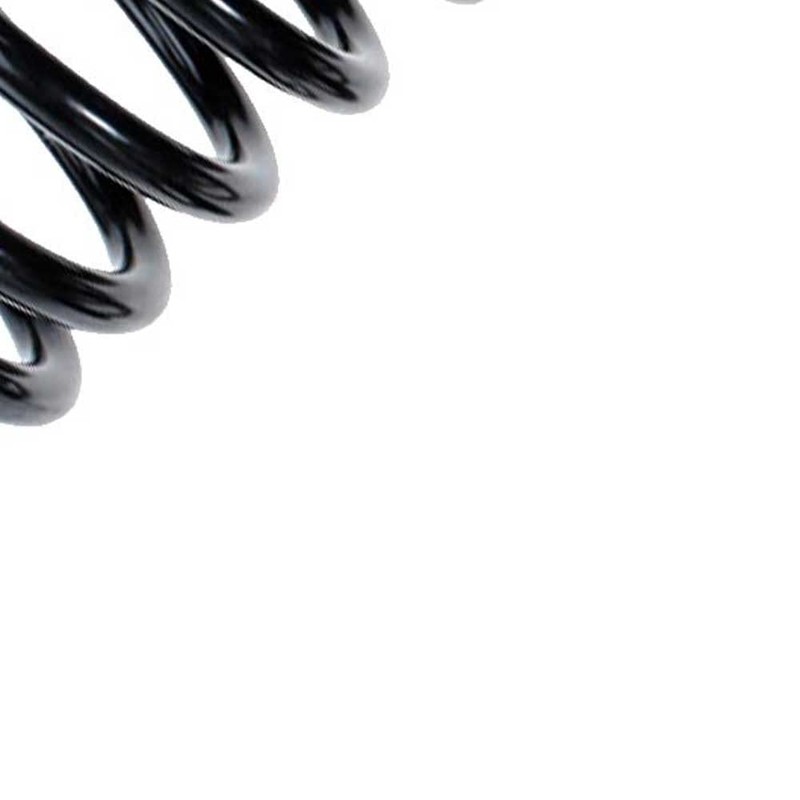 Eibach coil spring rear R10091