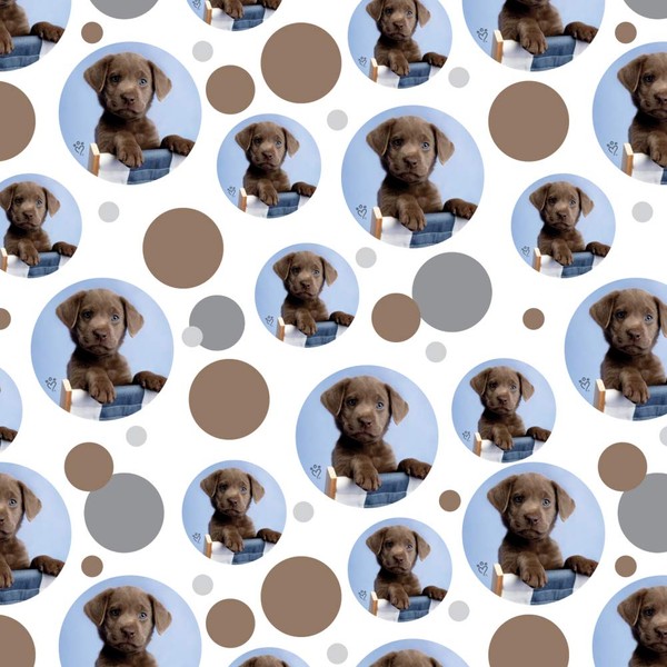 GRAPHICS & MORE Chocolate Lab Labrador Deckchair Lounge Chair Premium Gift Wrap Wrapping Paper Roll