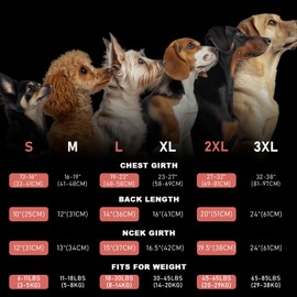 KYEESE Dog Cooling Vest for Large Dogs Lightweight Pet Cooler Jacket 3D Breathable Mesh Pet Cooling Shirts with Reflective Stripe UV Protection T Shirt for Beach, Hiking, Walking (Blue, 3XL)