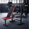 Weight Bench Workout Bench Multi-Function with Preacher Curl Pad and