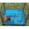 Saguaro Acres Rabbit and Small Animal Cage Resting Mat for