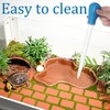 Reptile Bath Pool Large Water Bowl Reptiles Bath Pool for