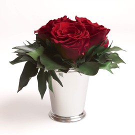 ROSEMARIE SCHULZ Heidelberg Infinity Flowers in Silver Cup 3 Preserved Roses Long Lasting Flower Decoration (Burgundy, 3 Roses)