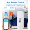 Wi-Fi Smart Thermometer Hygrometer, Digital Mini Indoor Temperature and Humidity