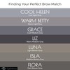 Eye Embrace Gray Eyebrow Powder, Hair Powder, Root Cover-Up –