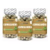 Vitamx Suplemento 300 Capsulas Relajante Antiestres