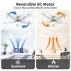 POCHFAN 52 Inch Brushed Nickel Ceiling Fans with Lights and
