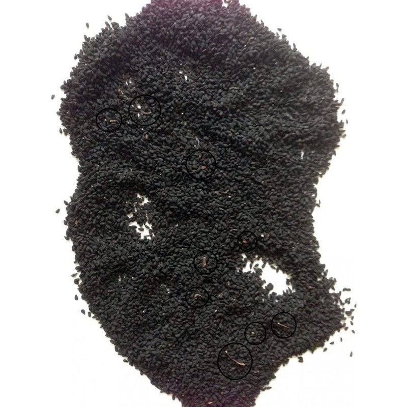 Rasalhanut Nigella (Black Cumin) Seeds, 3.5 oz (100 g)