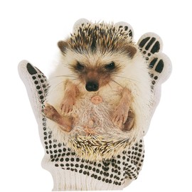 OSALADI Hedgehog Gloves Pair Pet Stuff Animal Protection Glove Bite Proof Gloves Anti Pet Bite Glove Anti-bite Glove Animals Handling Protection Gloves Cosmetic Supplies Cat Gloves Birds