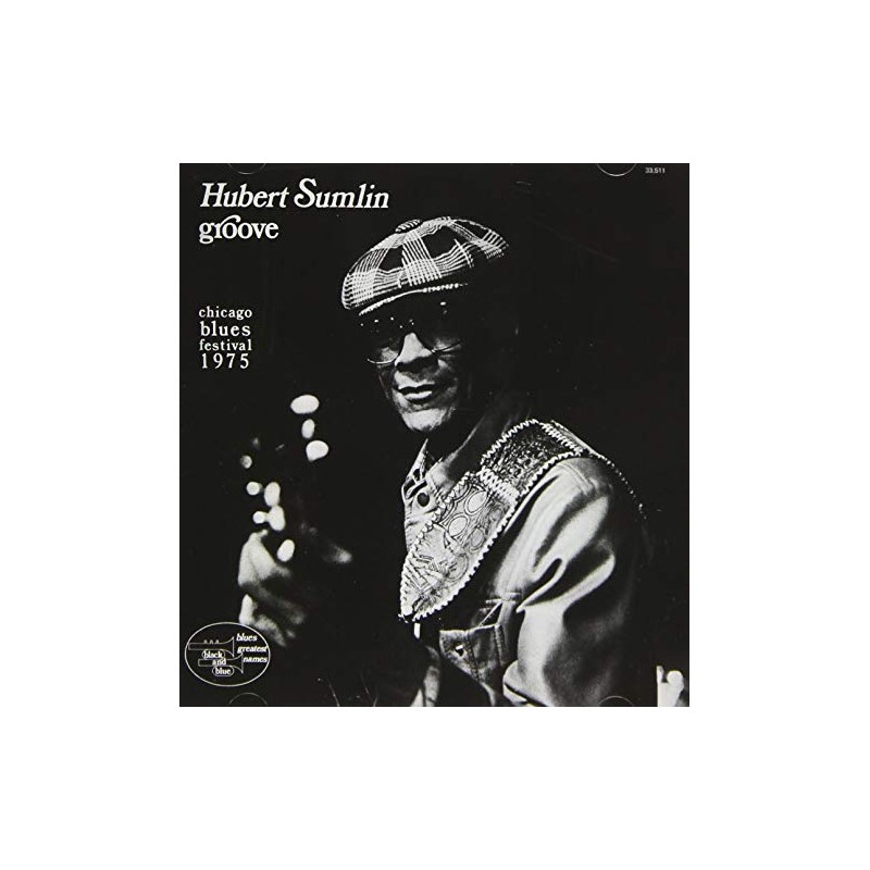 グルーヴ~シカゴ・ブルース・フェスティバル1975