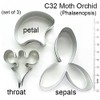 Moth Orchid (Phalaenopsis) Cutter Set by WSA