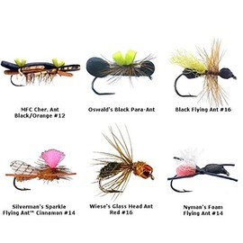 Ant Fly Fishing Flies kit - Collection of 6 Flies - Ant Dry Flies