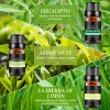 Kit De 12 Aceites Esenciales Aromaterapia 100% natural Difuso