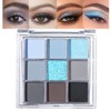 CAKAILA 9 Colors Blue Grey Highly Pigmented Colorful Eyeshadow Palette,Matte