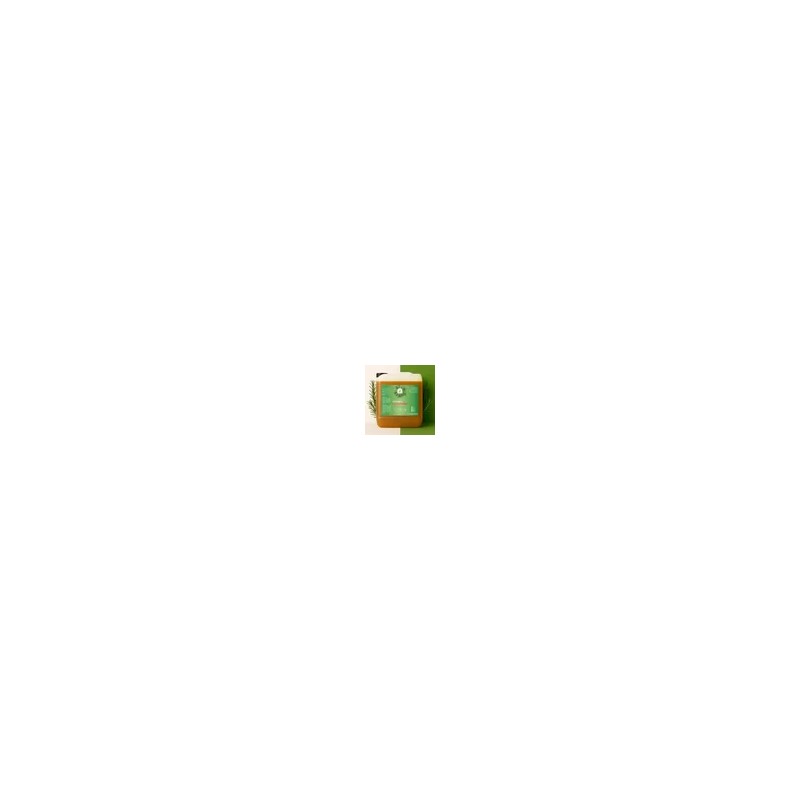 Shampoo Extracto Natural Romero Brillo Y Suavidad (5 Litros)