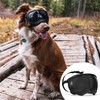 Rex Specs V2 Dog Goggles (X-Large, Black)