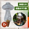 nijimomo Automatic Water Supply, 2 Pieces, Mushrooms, Large Capacity, Automatic