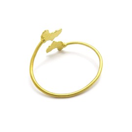 NYFASHION101 Smooth Africa Continent Pendant Brass Bangle