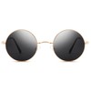 Pro Acme Retro Small Round Polarised Sunglasses for Men Women,