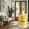 Blooms & Blends Home, Musky Wood Concentrado limpiador e hidratante