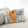 Pillow Covers 24x36 Inch - Body Thanksgiving Fall Pumpkin Bird