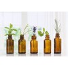  Bird of Paradise Essential Oil - 100% Pure Aromatherapy