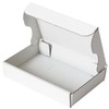 Earth Cardboard Shipping Box for Unregistered Mail, Standard Size, Minimum