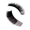 Kiss I Envy Juicy Volume 02 Lashes