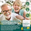Lymphatic Support Softgels Supplement 4275mg Equivalent – Advanced Botanical Complex