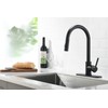 Havin Black Kitchen Faucet with Pull Down Sprayer, with 10"