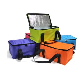 Provance Cool Bag, Shopping Bag, Insulated Bag, Cool Box, 9.5 L, Picnic Bag, Insulated Box, Foldable Picnic Bag, Beach Bag (Orange)