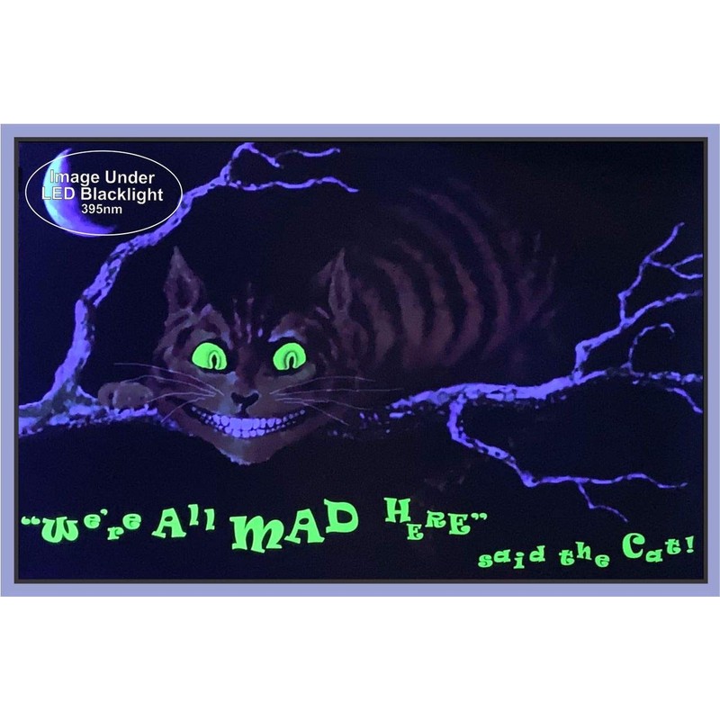 Studio B We are All Mad Here Poster