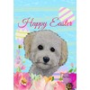 Mini Doodle - Best of Breed - HHS Easter House
