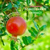 Organic Pomegranate Extract 20,000mg – 120 Vegan Capsules (4 Months