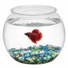 1 Gallon Plastic Fish Bowl, Shatterproof Clear Round Goldfish Betta