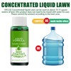 Lawn Liquid Grass Seed Spray Liquid Formula - Quantity: 6